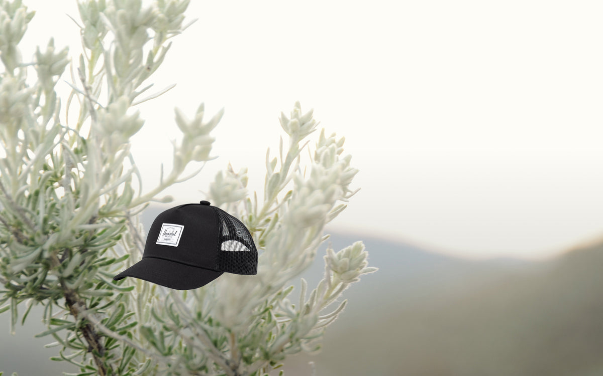 Herschel Supply Co. Whaler Cotton Mesh Toddler Cap (2-4 Years) in black.